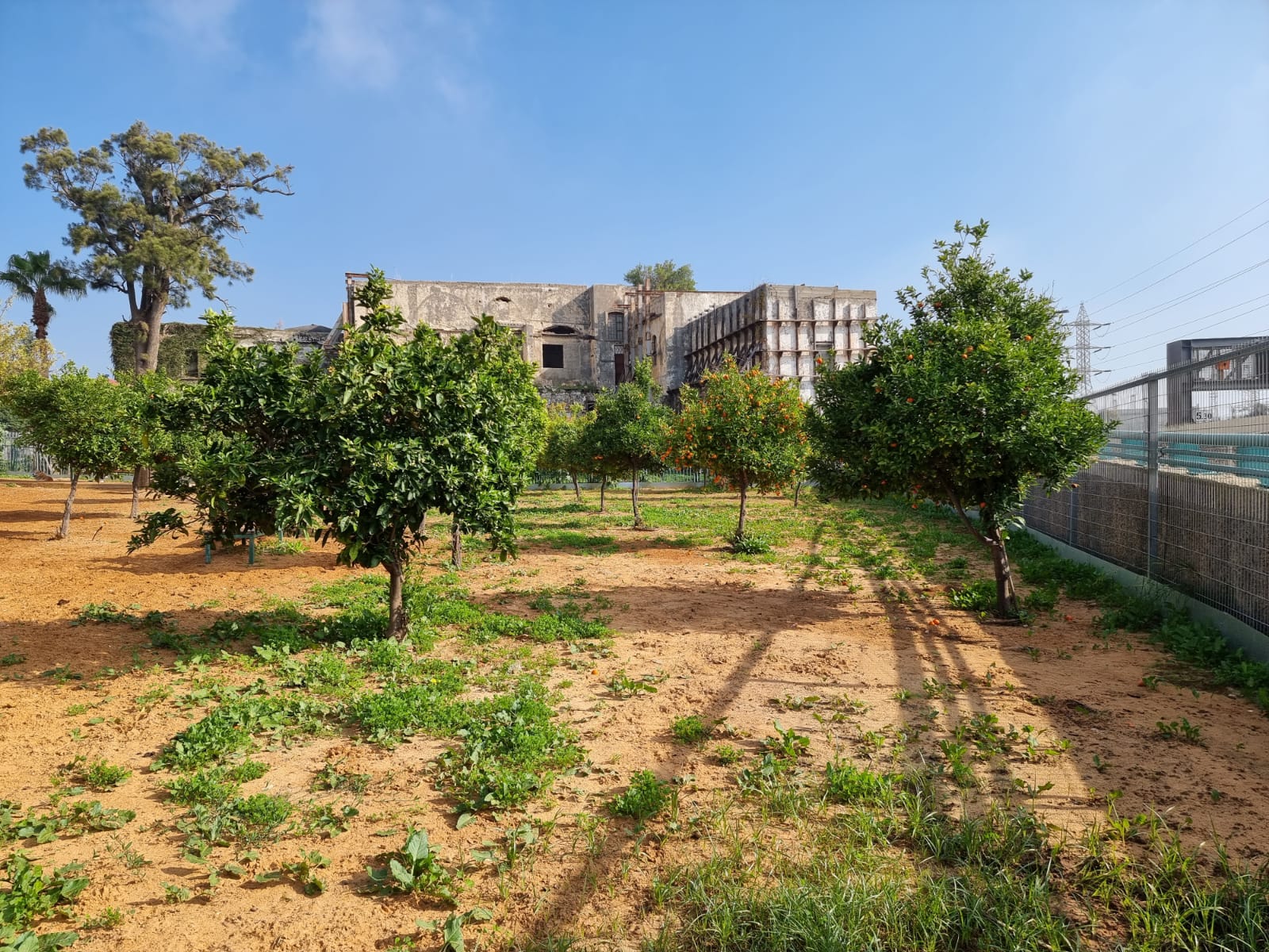 WhatsApp Image 2022-01-08 at 1.29.40 PM.jpeg